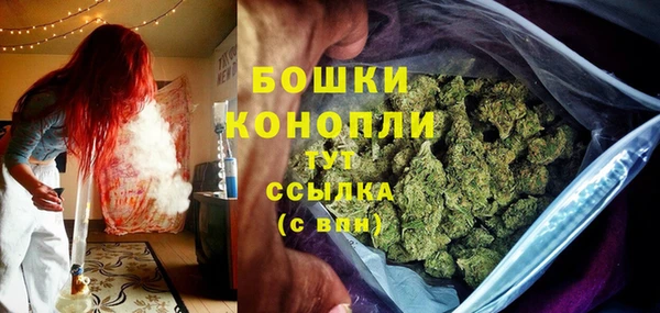 твердый Аркадак