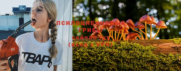 твердый Аркадак